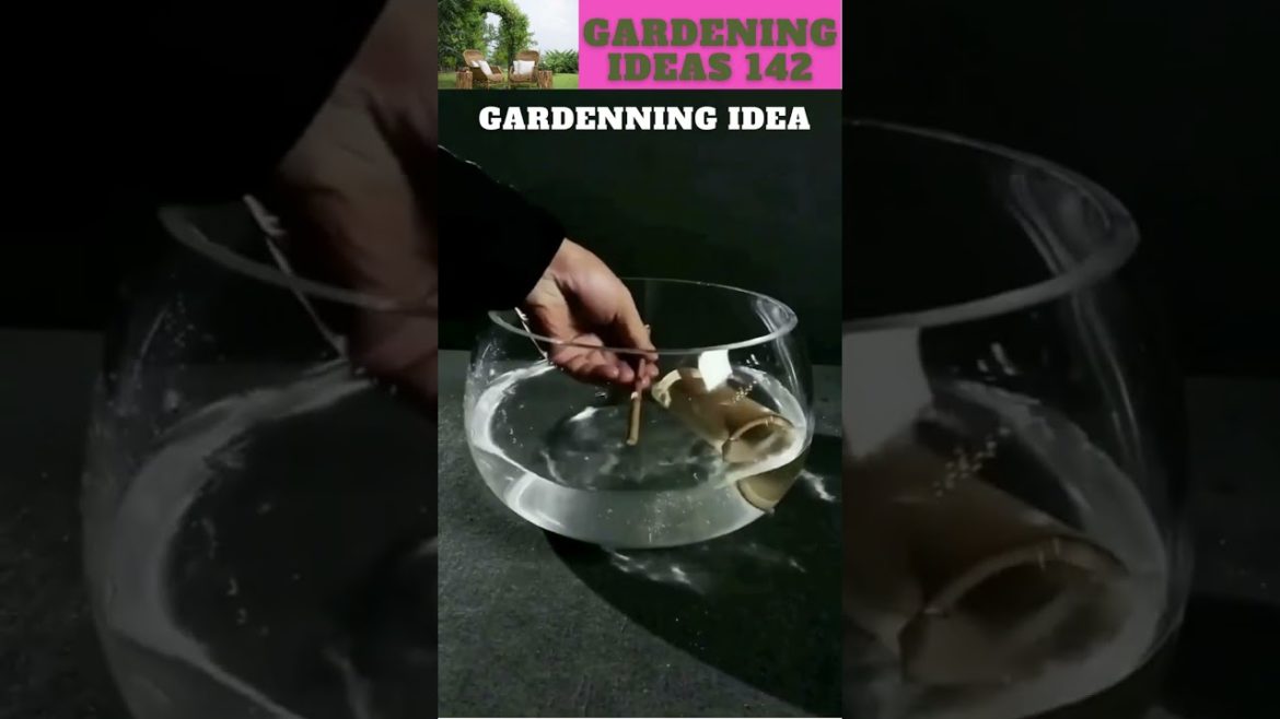 You can also try this😆🌴🌱🌿😇/gardening ideas nonstop  😇…
