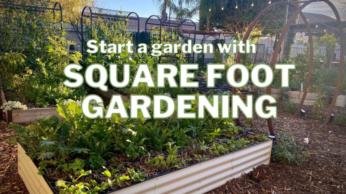 Start a Garden with SQUARE FOOT GARDENING Start a Garden with SQUARE FOOT GARDENING