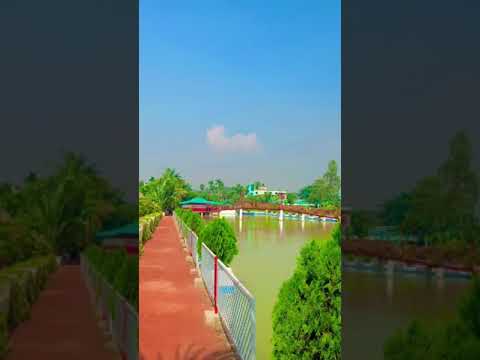 How to Gardener: Tips for A Successful Garden How to Gardener: Tips for A Successful Garden