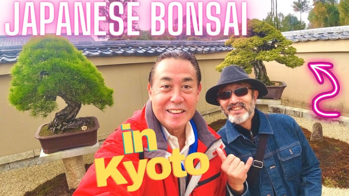 Japanese Bonsai in Kyoto – a dying traditional art or a possible revival? Japanese Bonsai in Kyoto - a dying traditional art or a possible revival?