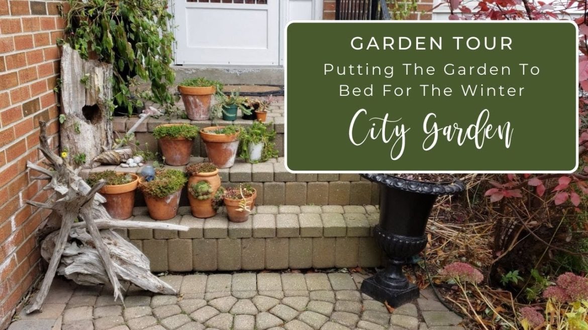 November 2019 Garden Tour – Putting the garden to bed November 2019 Garden Tour - Putting the garden to bed