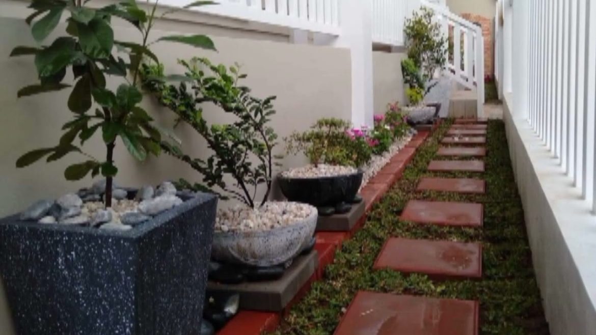 Cute Garden Idea|Corner Garden Design@landscapinggardening1013