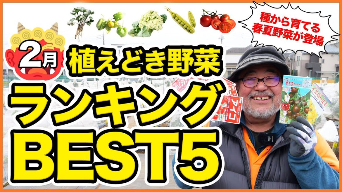 家庭菜園や農園の冬野菜栽培で2023年1月植え付けおすすめ野菜ランキングBEST5!【農園ライフ】/January 2023 planting vegetable ranking best 5. 家庭菜園や農園の冬野菜栽培で2023年1月植え付けおすすめ野菜ランキングBEST5!【農園ライフ】/January 2023 planting vegetable ranking best 5.