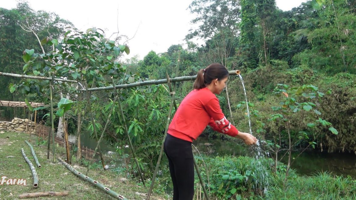 Clean water supply system by bamboo pipe, Vegetable gardening || Ut's Farm (Ep12) Clean water supply system by bamboo pipe, Vegetable gardening || Ut's Farm (Ep12)
