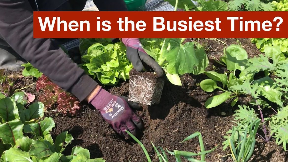 When is the Busiest Time of the Year?