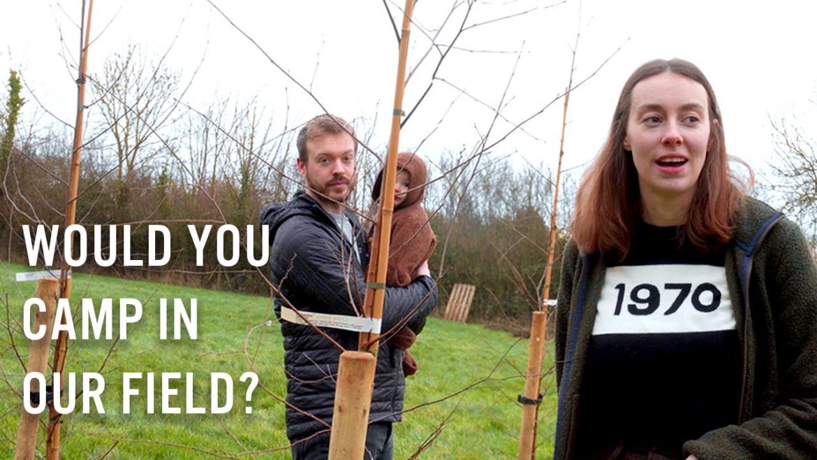 #2 Our Homestead Plans For The Year