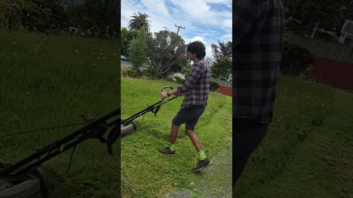 Front Lawn line trimming, mowing & weed spraying for Community Centre #lawncare #happyclients  #nz