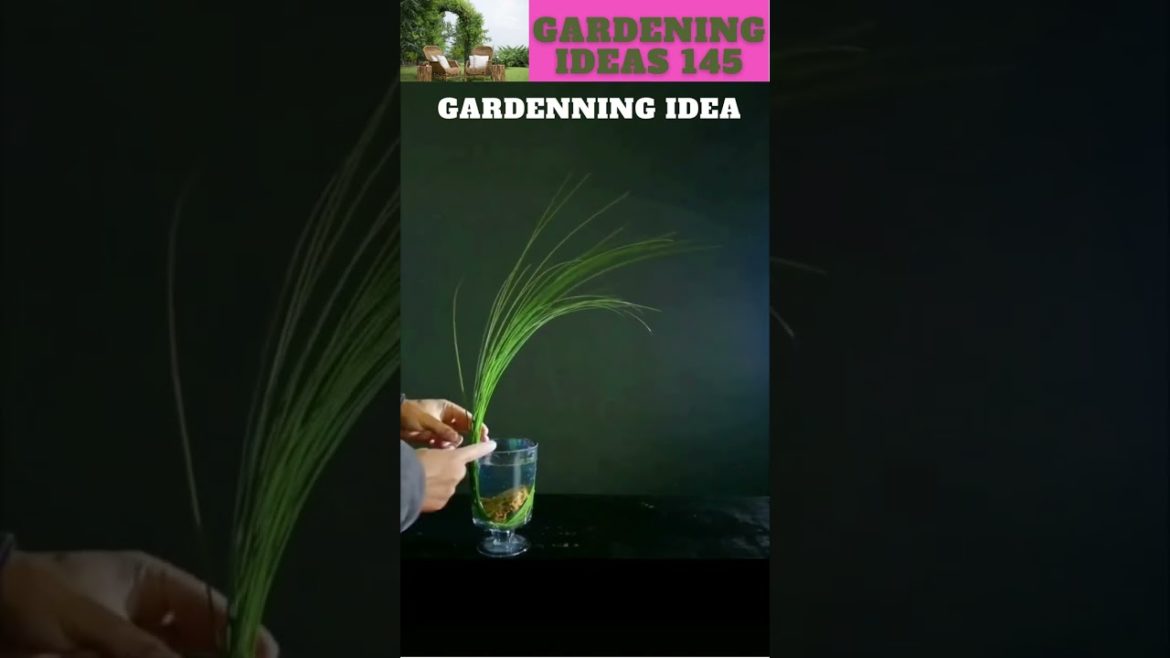 You can also try thisππ΄π±πΏπ/gardening ideas nonstop πβ¦ You can also try thisππ΄π±πΏπ/gardening ideas nonstop πβ¦