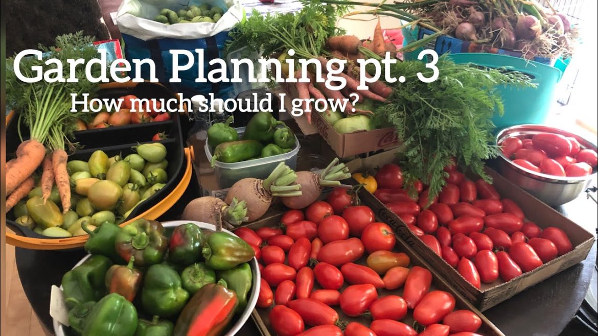 How Much Should I Plant? Garden Planning Part 3 How Much Should I Plant? Garden Planning Part 3
