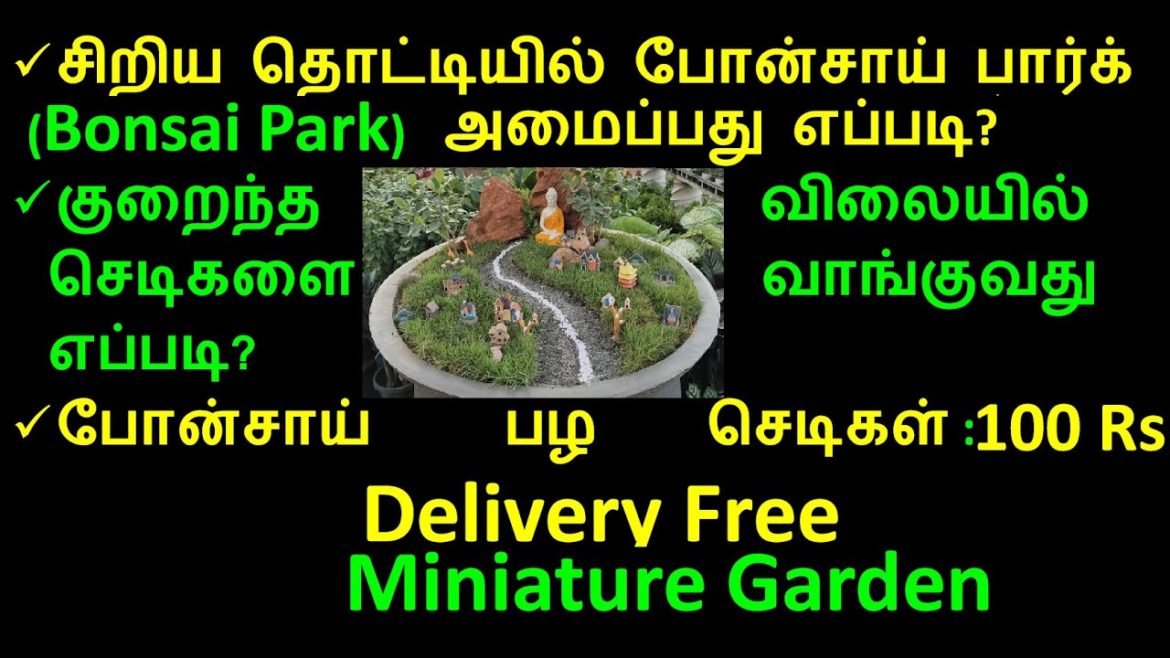garden design | Small house garden design | Bodhi Bonsai Nursery Tamil Nadu