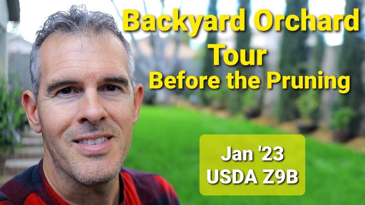 Backyard Orchard Tour – Before the Spring Pruning! January Vlog 2023 Backyard Orchard Tour - Before the Spring Pruning! January Vlog 2023