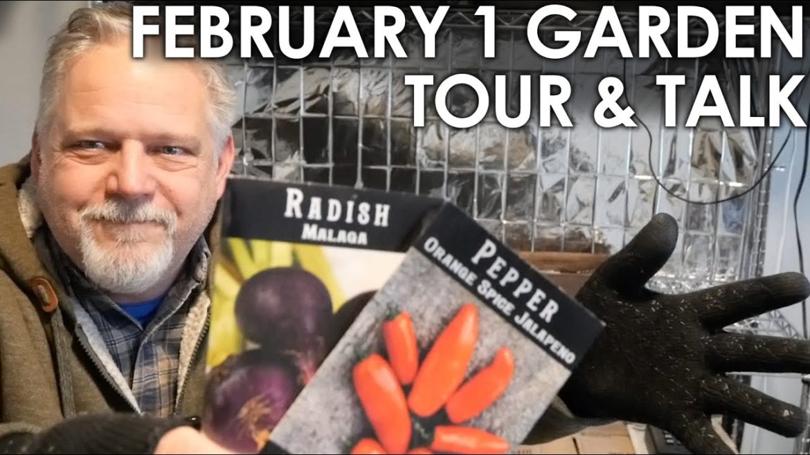 February 1 Garden Tour & Talk || Black Gumbo February 1 Garden Tour & Talk || Black Gumbo