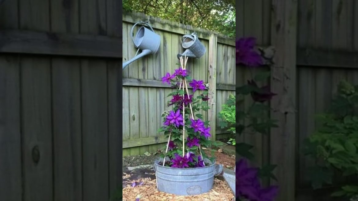 Gorgeous Garden Wall Ideas to Enhance Your Home  😍 #shorts