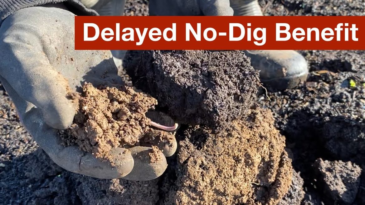 Delayed No-Dig Benefit