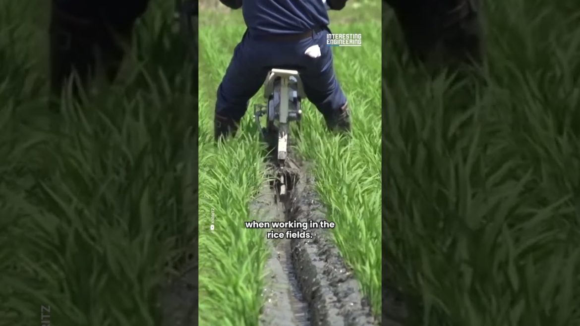 Farming Equipment Resembling a Bicycle Farming Equipment Resembling a Bicycle