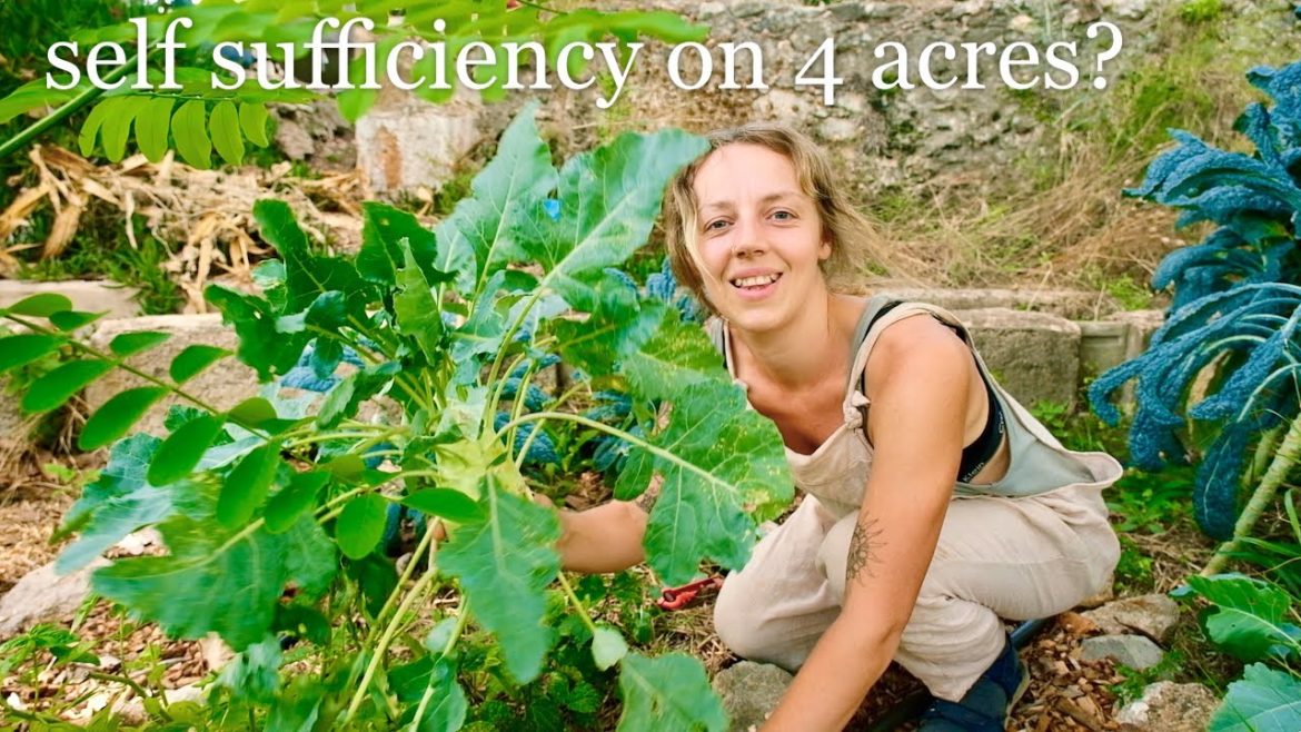 Eating From my Garden EVERY DAY for a Year [timelapse]