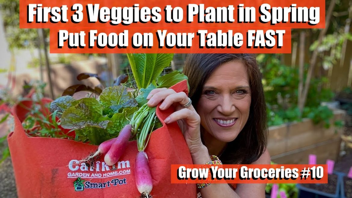 CaliKim: 3 Vegetables to Plant FIRST in Spring to Put Food on Your Table FAST / Grow Your Groceries #10 3 Vegetables to Plant FIRST in Spring to Put Food on Your Table FAST / Grow Your Groceries #10