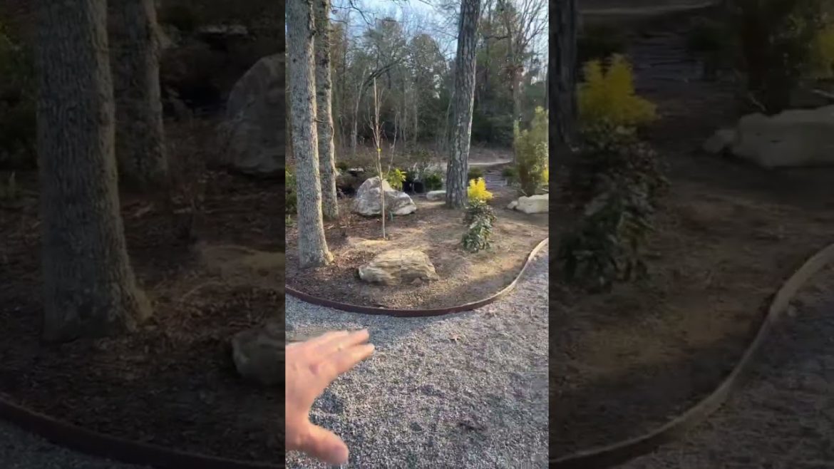 Japanese garden with creek! #gardening #aquascape