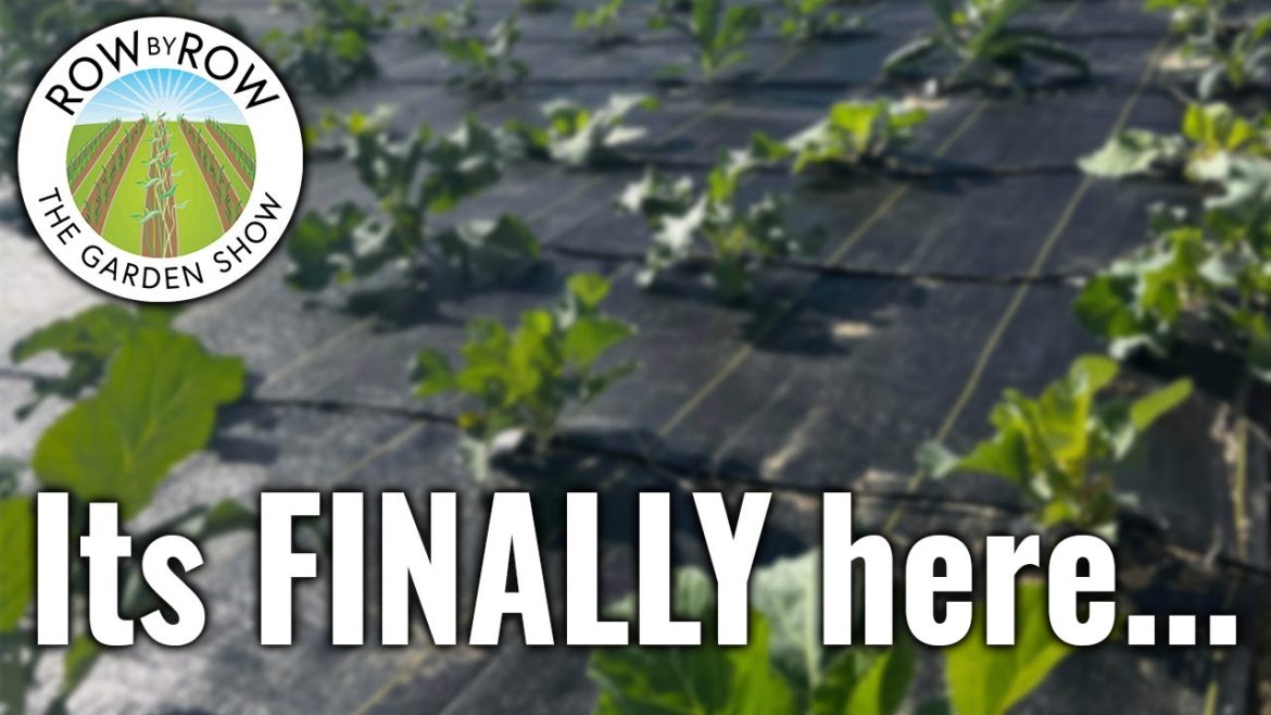 New Garden Supplies That You Need For Your Garden