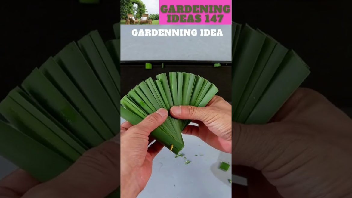 You can also try this😆🌴🌱🌿😇/gardening ideas nonstop  😇…