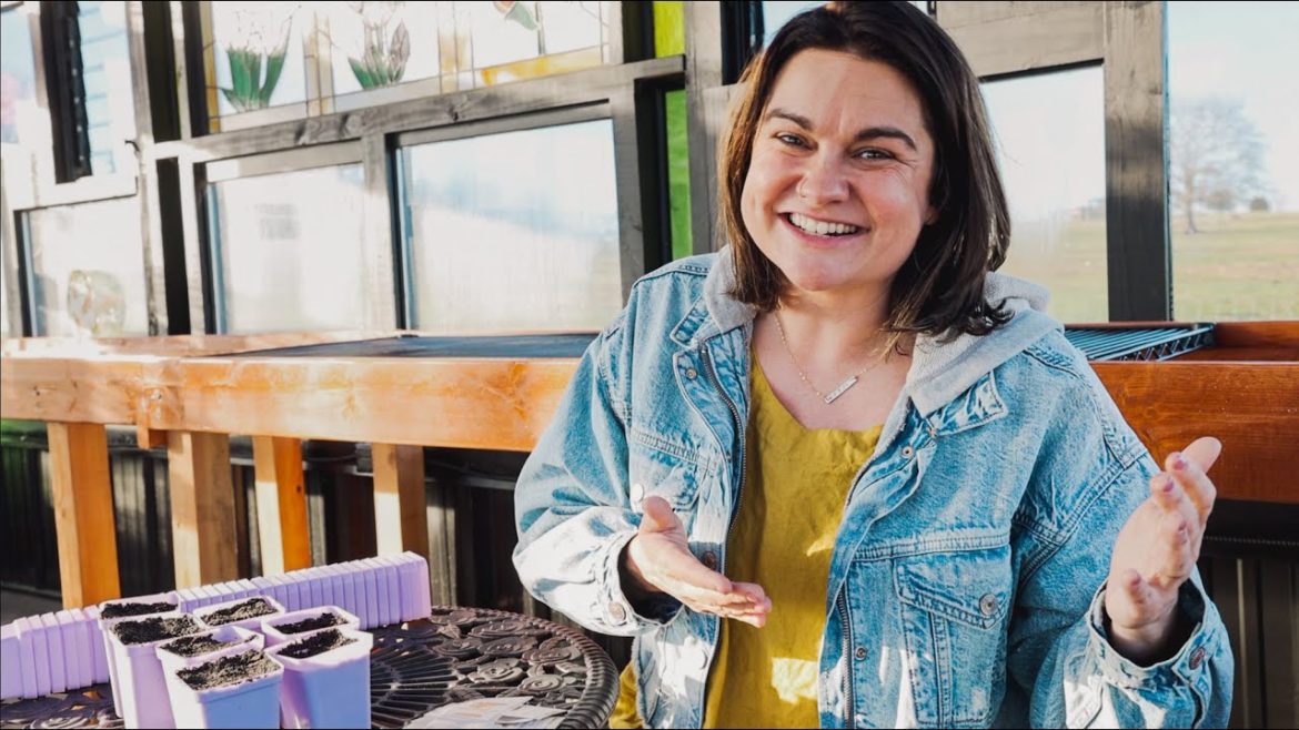 Roots and Refuge Farm: How to Teach Gardening to Beginners How to Teach Gardening to Beginners