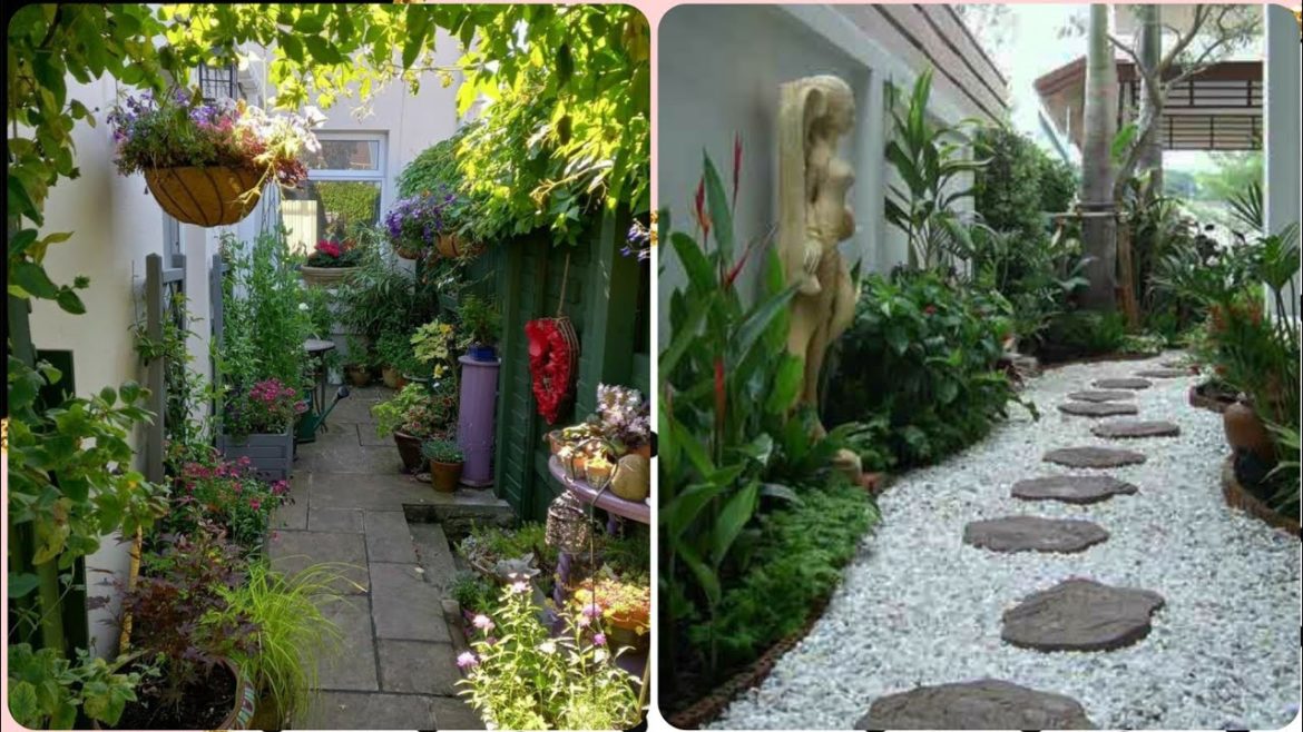 FABULOUS AND BRILLIANT SIDES FOR GARDEN DESIGN