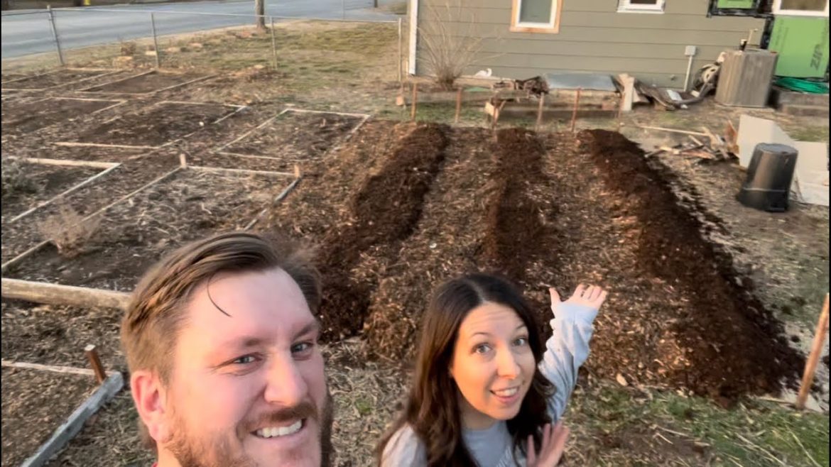 WORK That is WORTH IT! Mushroom Compost and Wood Chips, NO DIG Garden Prep. WORK That is WORTH IT! Mushroom Compost and Wood Chips, NO DIG Garden Prep.