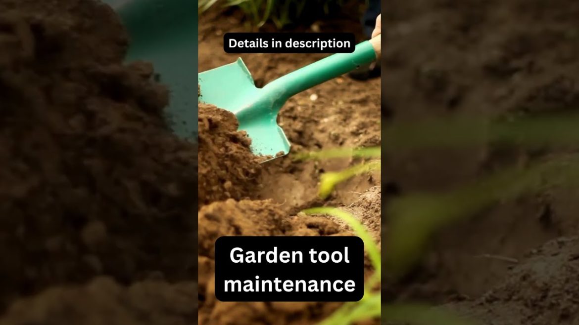 Garden Tool Maintenance: Tips and Tricks Garden Tool Maintenance: Tips and Tricks