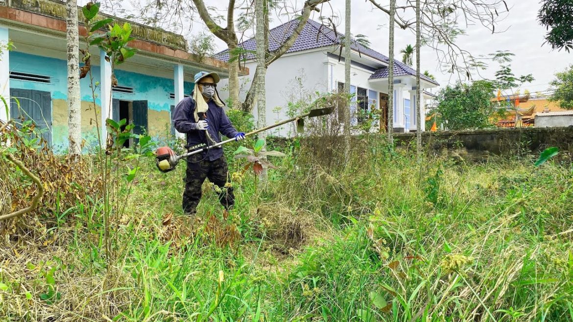 SHOCKED Overgrown Cut LAWN Clean Home School | Cleanup NOBODY Transform Cut the grass