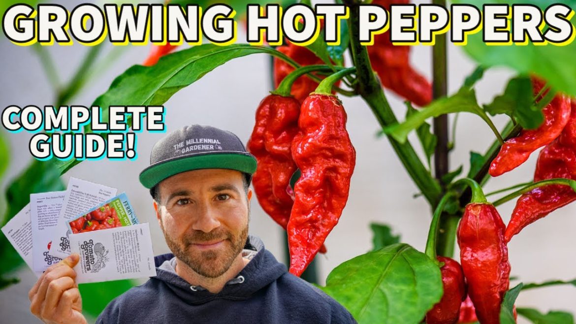 Hot Pepper Growing SECRETS: Sow These Summer Veggies FIRST!