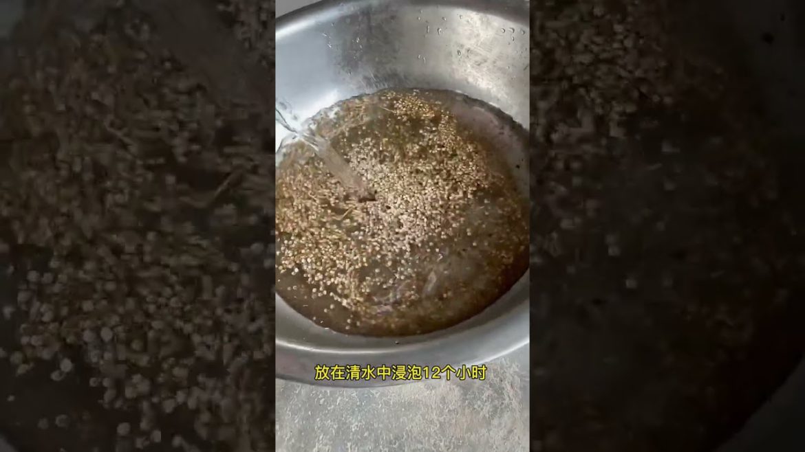 happened with garden at home happened with garden at home