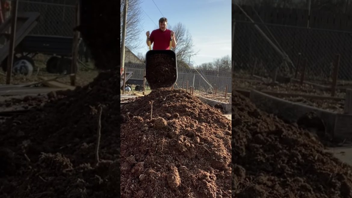 Create an AMAZING Garden with these UNEXPECTED INGREDIENTS!