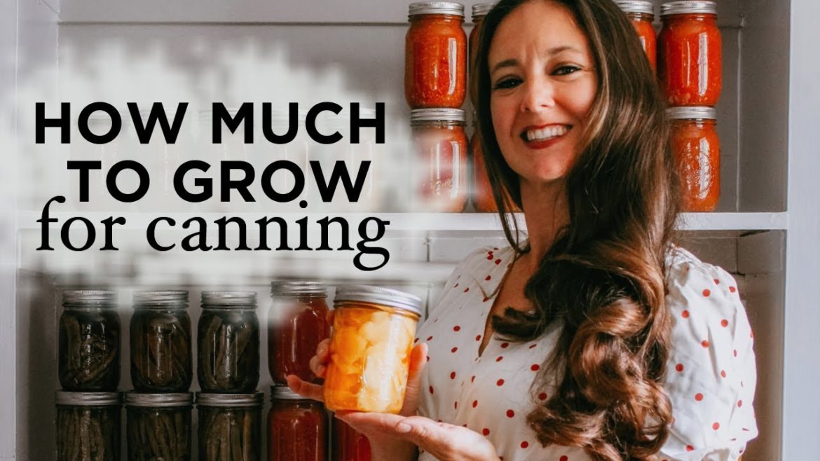 How Many Tomatoes to Plant for Canning? Preserve a Year's Supply of Food, Garden Planning, Beginner How Many Tomatoes to Plant for Canning? Preserve a Year's Supply of Food, Garden Planning, Beginner