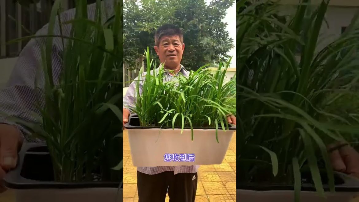 happened with garden at home happened with garden at home
