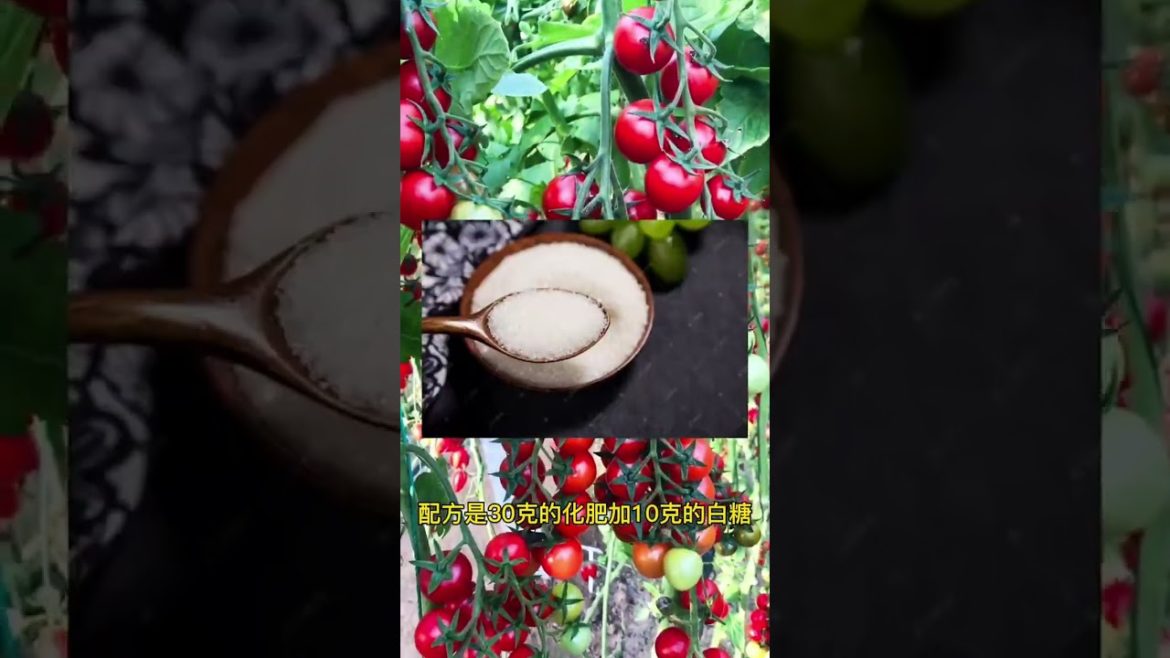 happened with garden at home happened with garden at home