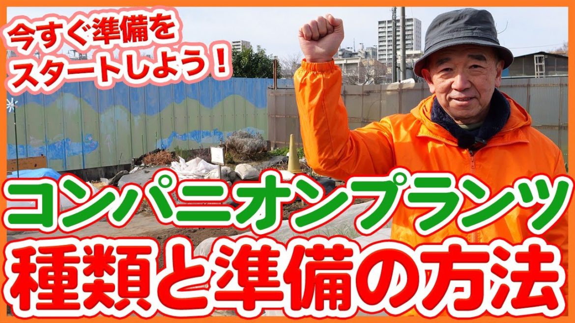 家庭菜園や農園の春野菜栽培に有効なコンパニオンプランツの種類と準備方法！【農園ライフ】/Tips for Using Companion Plants from a Japanese Farmer.