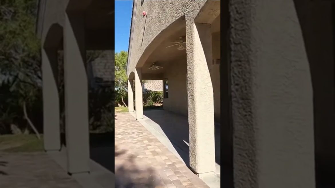 Garden Design | Landscape Design | #shorts