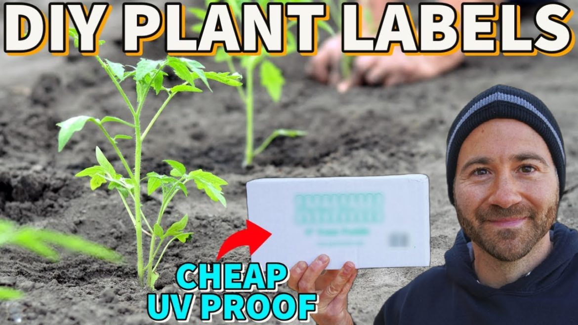 These DIY Plant Labels Resist Fading And Save BIG Money! These DIY Plant Labels Resist Fading And Save BIG Money!