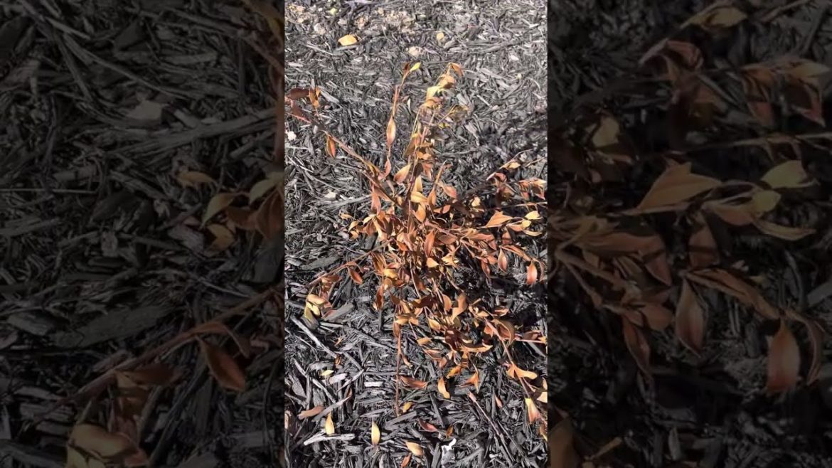 Sometimes Plans Fail and That’s OK