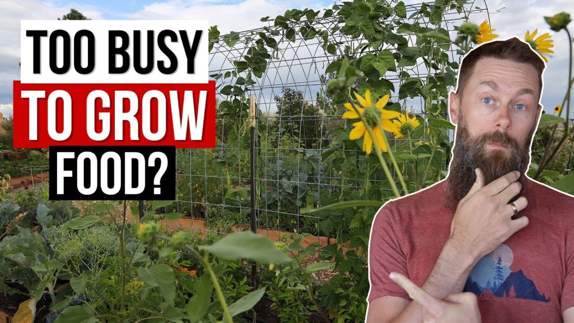The ONLY low-work sustainable garden method The ONLY low-work sustainable garden method