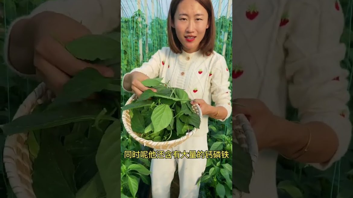 happened with garden at home happened with garden at home