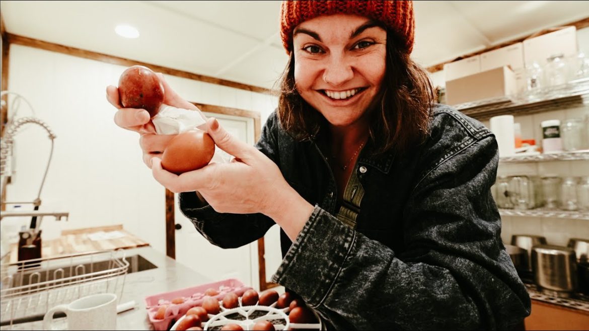 A Day of Potential (and beautiful eggs) | VLOG