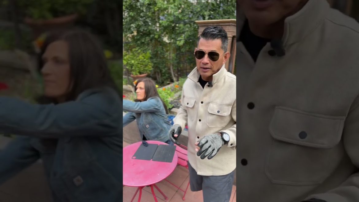 LIVE STREAM SET UP BTS