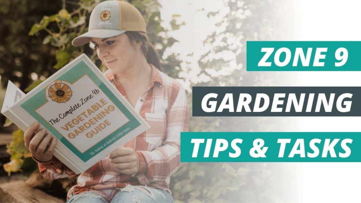 February gardening tips & tasks for zone 9 gardeners!