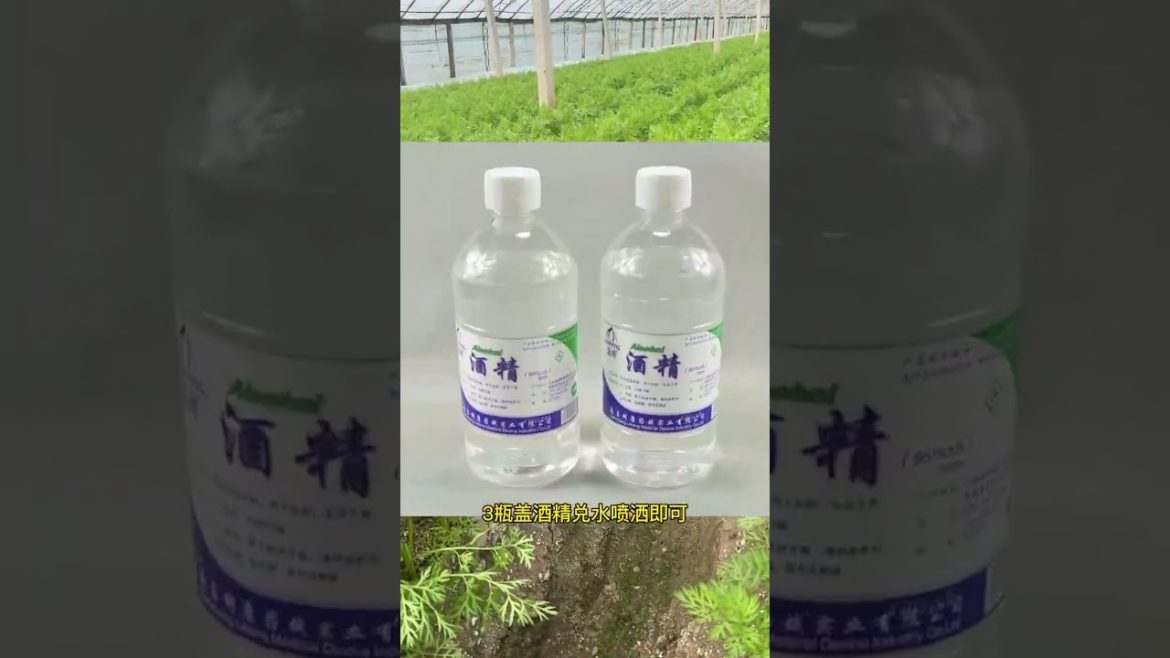 happened with garden at home happened with garden at home