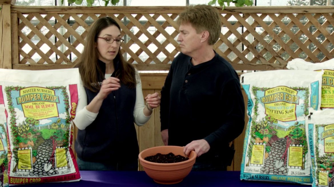 Master Nursery's Bumper Crop Potting Soil- Gardener's Gold