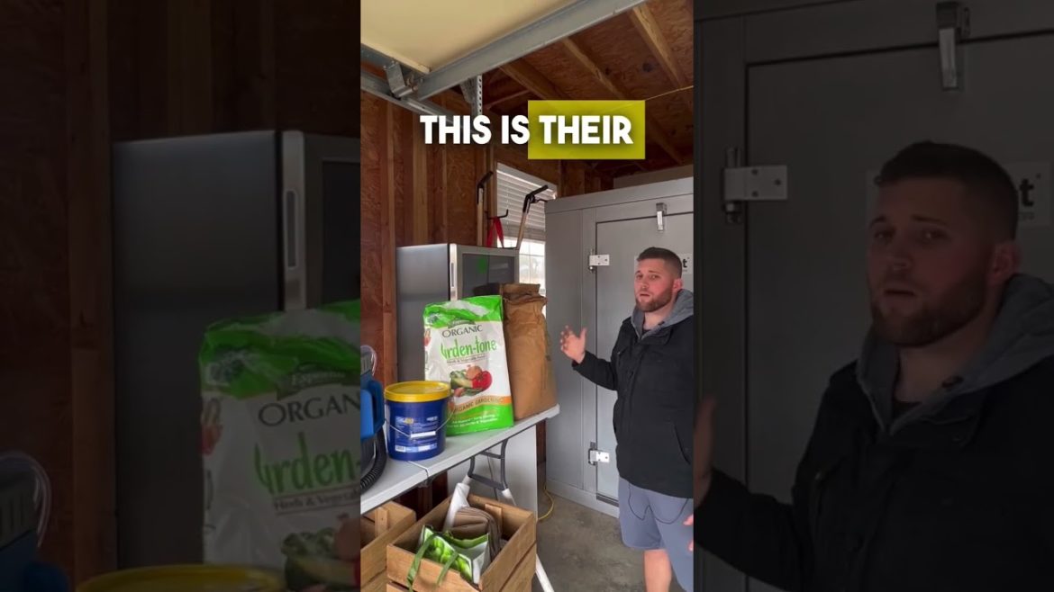 Here are the organic fertilizers we are currently implementing on our farmstead Here are the organic fertilizers we are currently implementing on our farmstead