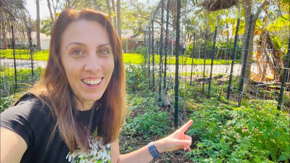 Racing the Sun: Get Spring Garden Cleanup Done Before it's Too Late! Racing the Sun: Get Spring Garden Cleanup Done Before it's Too Late!