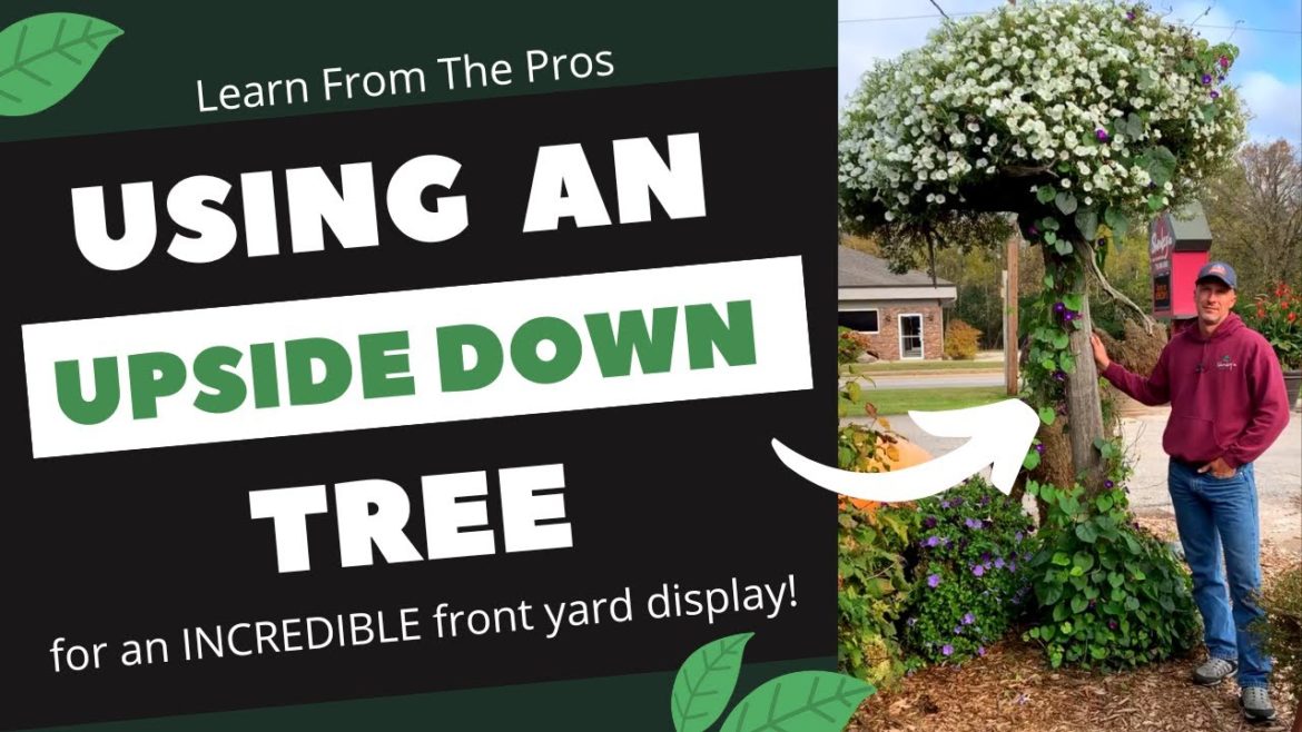 Make an Incredible Front Yard Display with an Upside Down Tree Make an Incredible Front Yard Display with an Upside Down Tree