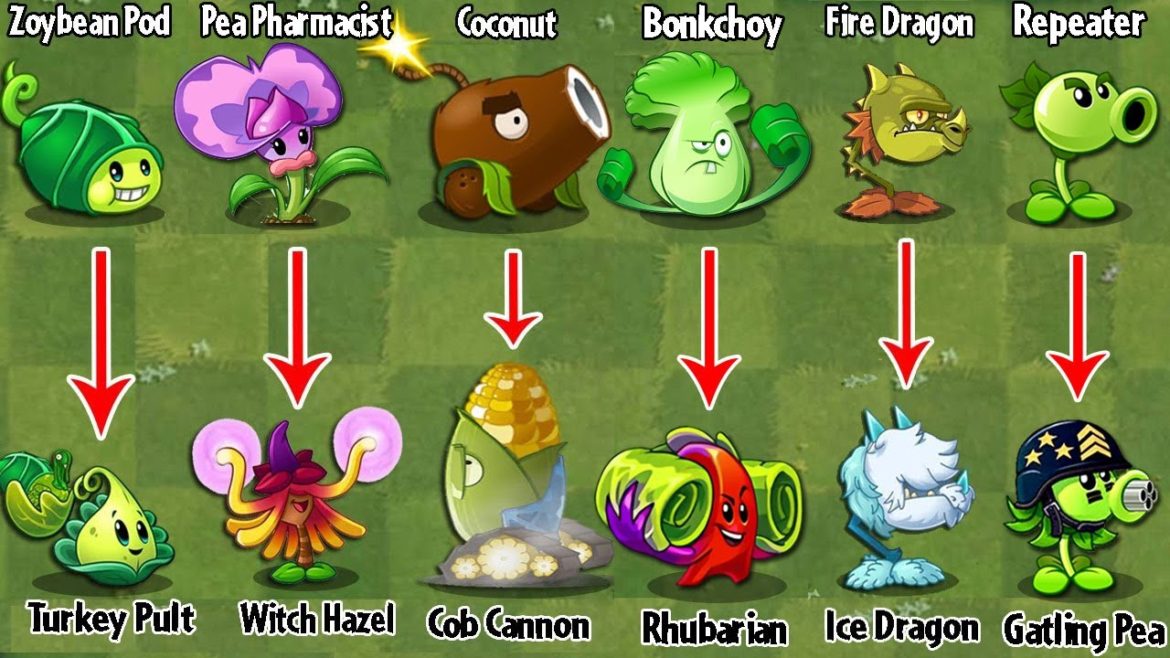 PvZ 2 Discovery - Every Plants Evolution NOOB - PRO Version (China & International)